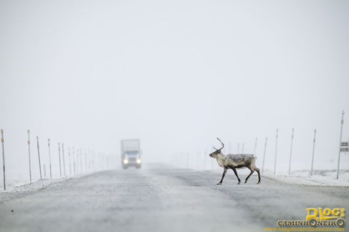 Dez viagens por estradas deslumbrantes e perigosas pelo mundo    