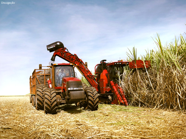 Maior percentual de etanol na gasolina deve alavancar safra da cana-de-açúcar