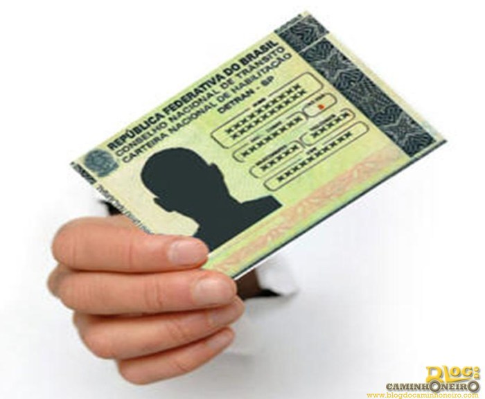 Proposta impede multa para motorista que esquecer carteira de habilitação